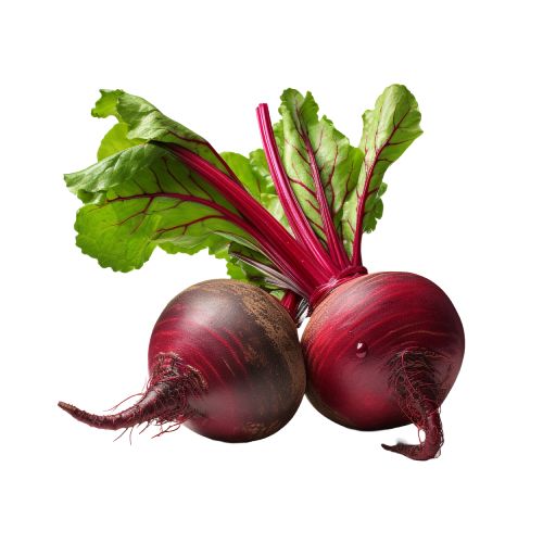 WhatsApp Image 2024-03-18 at 2.26.17 PM