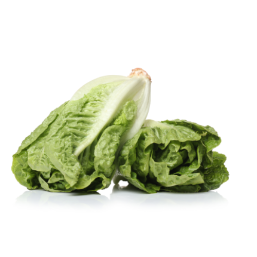 تصميم بدون عنوان - 2024-03-19T135506.983